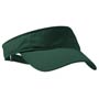 Sport Visor