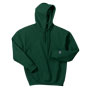 Champion Hooded Sweatshirt