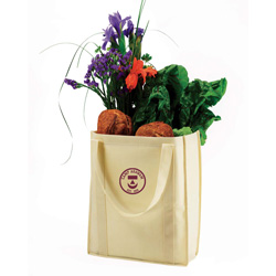 Organic Canvas Tote Bag