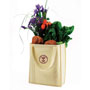 Organic Canvas Tote Bag