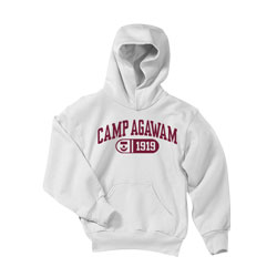 Toddler Hooded Sweatshirt