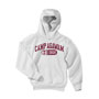 Toddler Hooded Sweatshirt