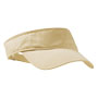 Visor