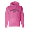 Youth Hoodie with Stonington